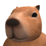 CAPYBARA